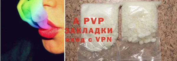 PSILOCYBIN Белоозёрский